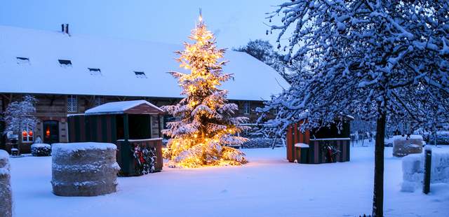 Weihnachtsmarkt am Linslerhof