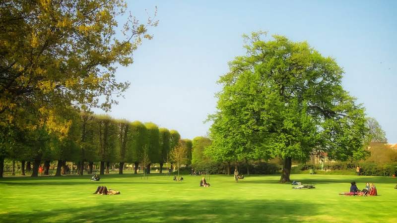 Grüne Wiese mit Menschen in einem öffentlichen Park in Kopenhagen