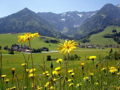 Incentive Reise Gruppenreise nach Tirol - Blick ins Tal