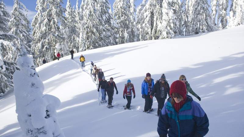 Outdoor Teamevent im Winter