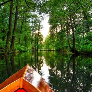 Paddeln, Bogenschiessen, Spreewald