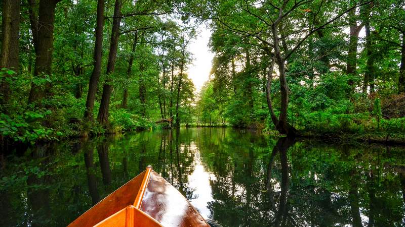 Paddeln, Bogenschiessen, Spreewald