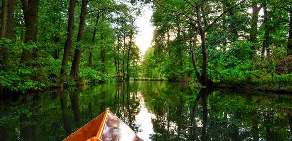 Paddeln, Bogenschiessen, Spreewald