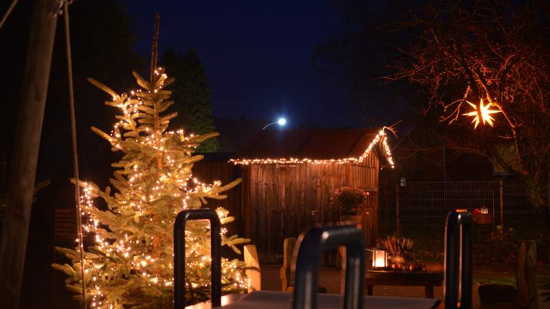 Weihnachtsfeier Betriebsausflug Gastronomie Restaurant Celle