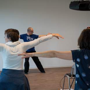 Unterricht Online Kurs Qigong (§20 SGB V zertifiziert)