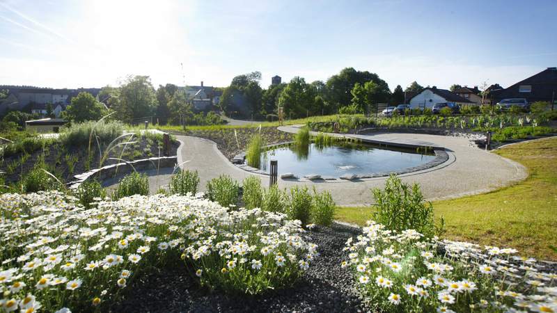 Kräutergarten Arnikastadt Teuschnitz Kräutergarten in der Arnikastadt mit blühenden Margeriten und Gartenteich