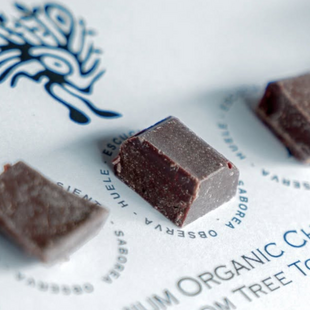 Online Schokoladen Tasting