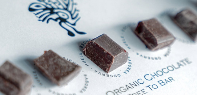 Online Schokoladen Tasting