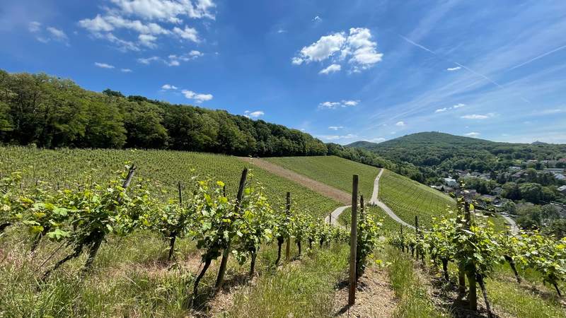 Tagesreise an den Mittelrhein