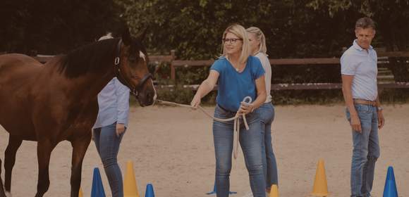 Teamentwicklung mit Pferden