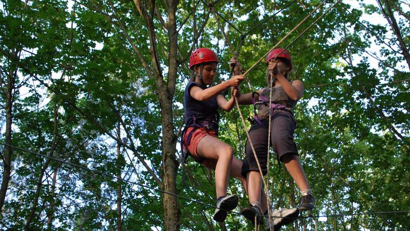 Teambuilding: Klettern im Hochseilgarten