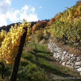 Dolomiten Gourmet Trekking