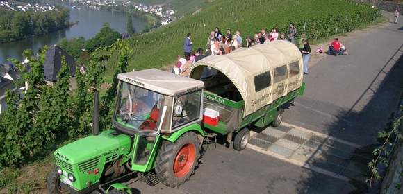 Schiffs und Planwagenfahrt an der Mosel Treis