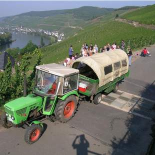 Schiffs und Planwagenfahrt an der Mosel Treis