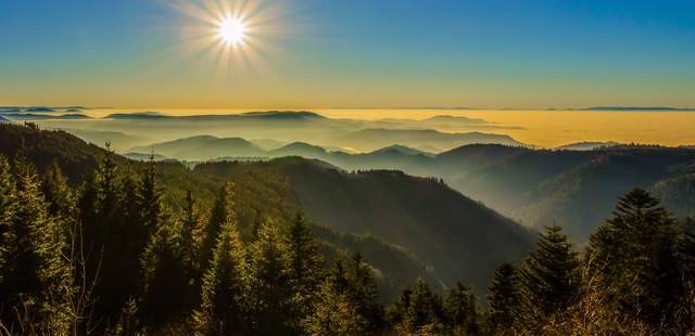 Resilienztraining Heidelberg/Mainz Resilienztraining Heidelberg/Mainz