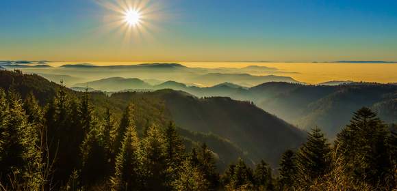 Resilienztraining Heidelberg/Mainz