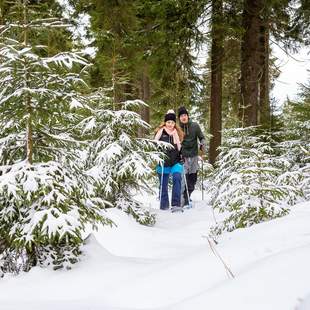 Schneeschuh-Wandern