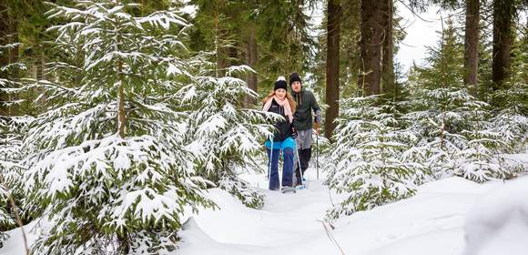 Schneeschuh-Wandern