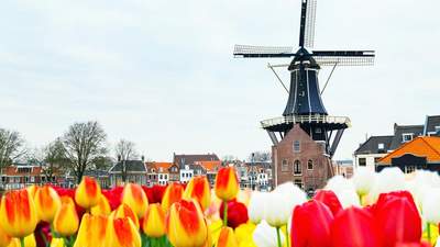 Incentive Reise Niederlande Amsterdam Windmühle