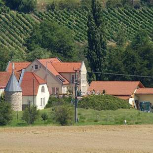 Sommerfest auf dem Weingut