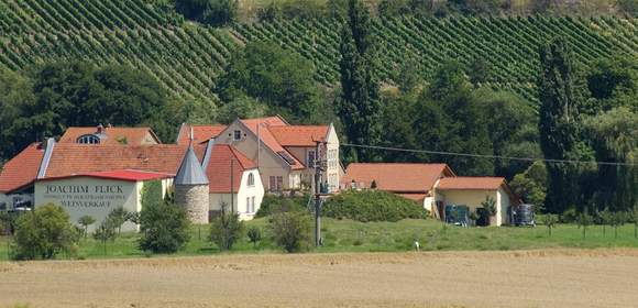 Sommerfest auf dem Weingut