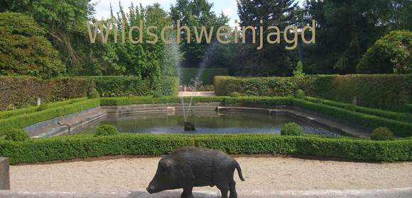 Wildschweinjagd - Tagespaket