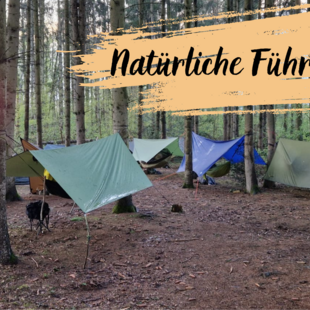 Natürliche Führung - Survival für Leader