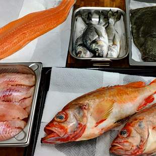 Fisch & Meeresfrüchte Kochkurs