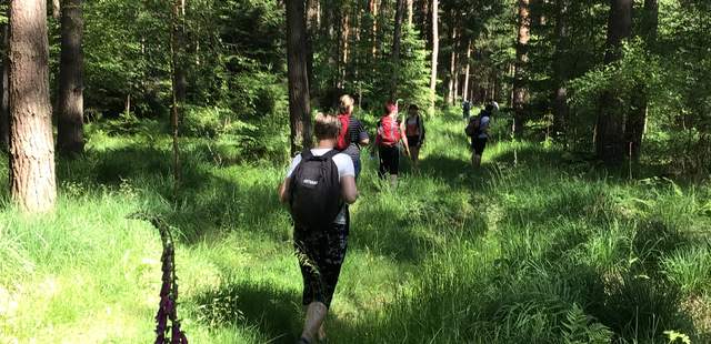 Waldbaden, Natur, Erholung