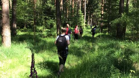 Waldbaden, Natur, Erholung