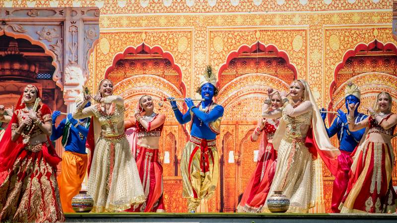 Bollywood Dance & LED Shows