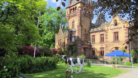 Teamevent oder Betriebsausflug in ländlicher Umgebung von NRW