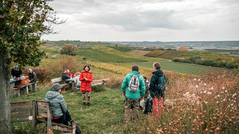 Krimiwanderung in Saulheim Rheinhessen