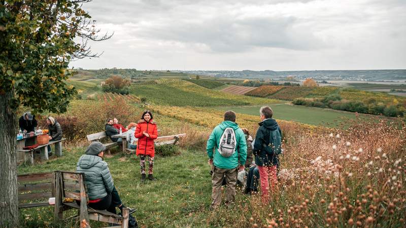 Rheinhessen