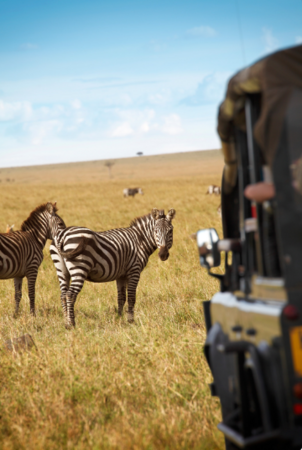 Sawubona – Willkommen in Südafrika