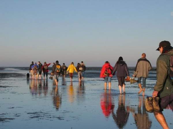 Wattwanderung auf Sylt Menschen bei einer Wattwanderung