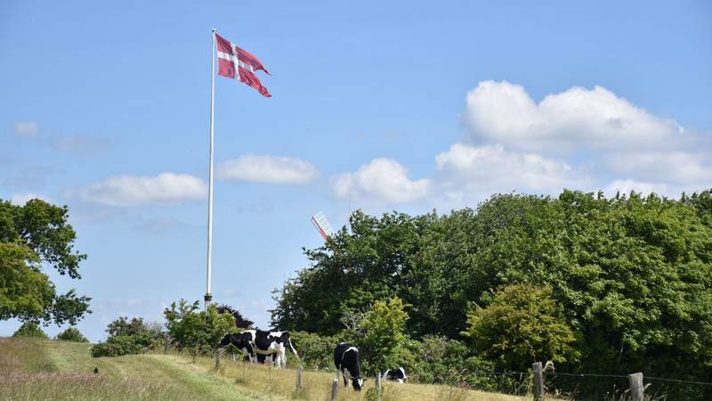 Oldtimer-Rallye rund um Flensburg
