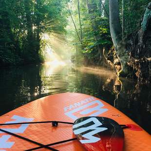 Standup Paddling & Bogenschießen im Spreewald