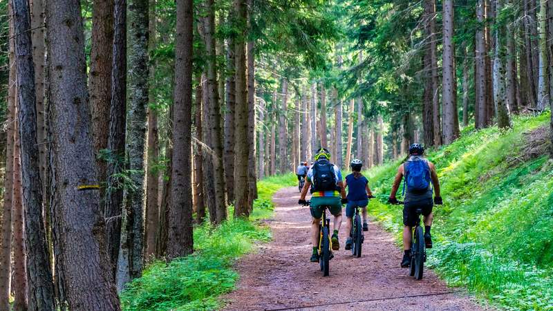 Mountainbike-Tour für Einsteiger