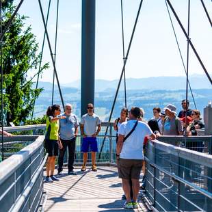 Betriebsauflug am Baumwipfelpfad Allgäu