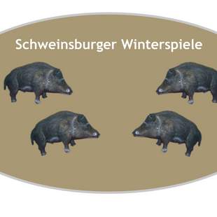 Schweinsburger Winterspiele - Tagespaket