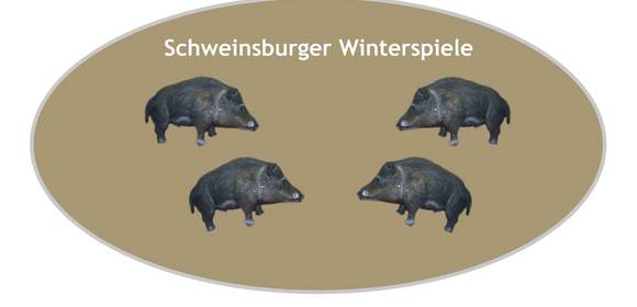 Schweinsburger Winterspiele - Tagespaket