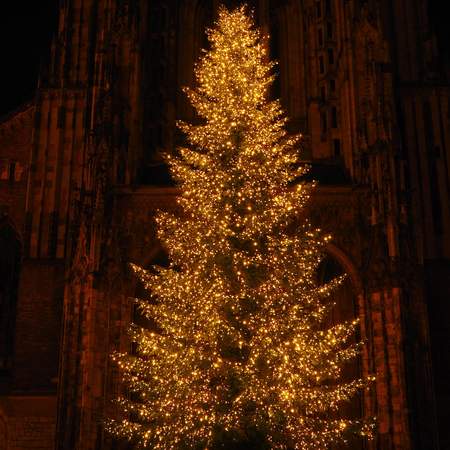 Weihnachtsfeier, Firmenfeier, Event, Teambuilding, Weihnachtsbaum schlagen und dekorieren