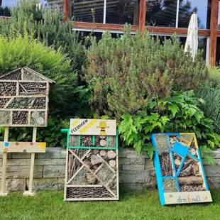 Insektenhotel Insektenhotel- und Vogelhausbau