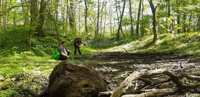 Geocaching+ "grüne Lunge" Dresdner Heide