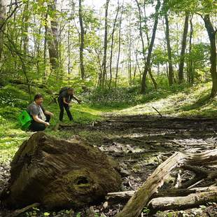 Geocaching+ "grüne Lunge" Dresdner Heide