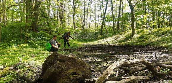 Geocaching+ "grüne Lunge" Dresdner Heide