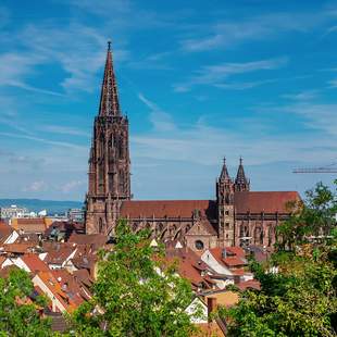 Blick aufs Freiburger Münster