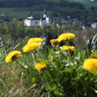 Führung durch das Welterbegebiet "Erzgebirge"