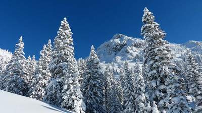 Incentive Reise Gruppenreise nach Tirol - Winter